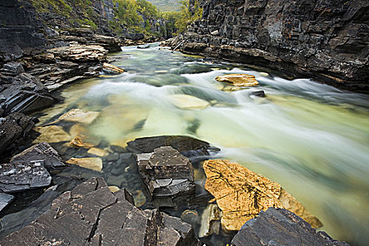 瑞典,国家公园,河,石头,自然