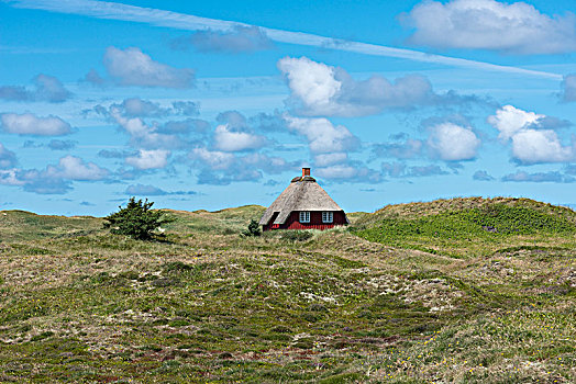 红色,木屋,茅草屋顶,波罗的海,海岸,沙丘,日德兰半岛,丹麦,欧洲