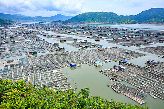 福建,霞浦,福建霞浦,海上渔村,渔排,渔民,养殖,捕捞,轮船,渔船,天空,俯瞰