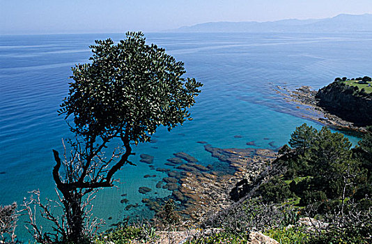 海岸,塞浦路斯