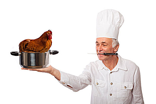 厨师,拿着,煮沸,母鸡,坐,锅