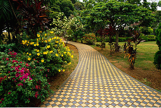 小路,花园,马六甲,马来西亚