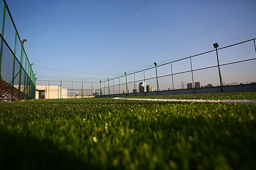 足球场,体育,笼式足球,绿茵场,草地,灯光,线条,绿色