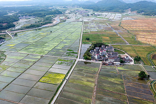 江西金溪,山村田园美