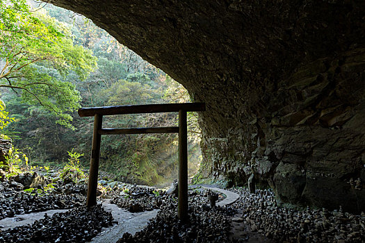 日本,小,神社