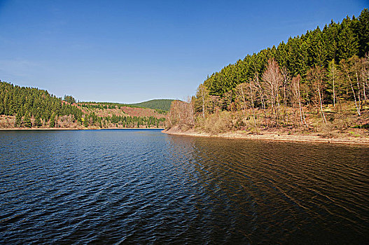 全景,风景,高山湖,早晨,国家公园,哈尔茨山,德国