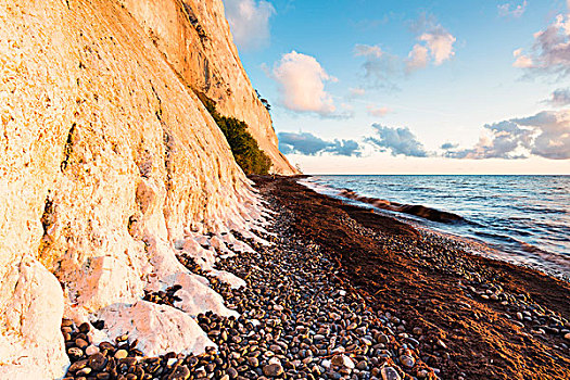 白垩断崖,鹅卵石,岸边,波罗的海,岛屿,西兰岛,区域,丹麦