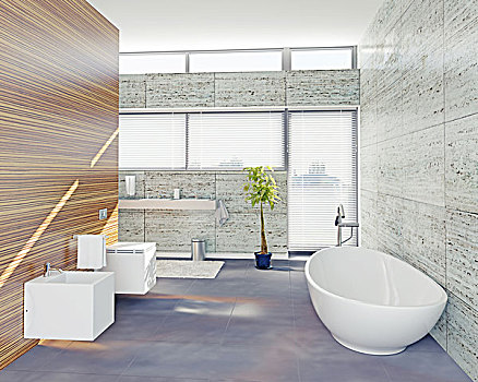现代,浴室,设计,概念