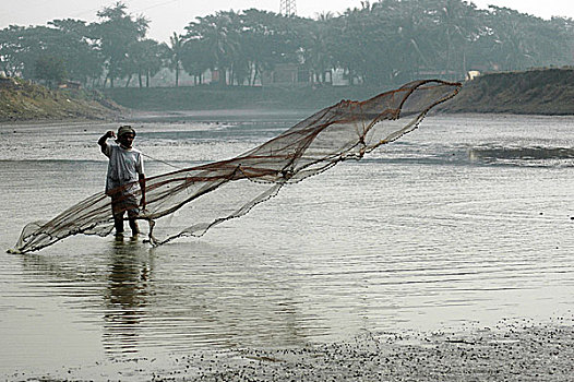 捕鱼,湿地,集市,孟加拉,一月,2008年