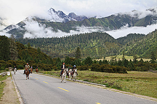 青藏高原山谷公路