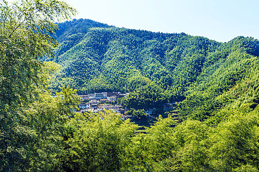 中国安徽省黟县木坑竹海景区