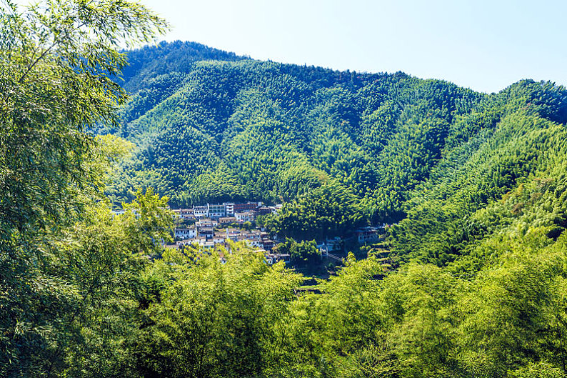 中国安徽省黟县木坑竹海景区_高清图片_全景视觉