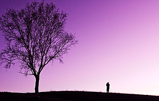 傍晚紫色的天空剪影