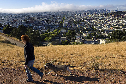 女人,遛狗,高度,市区,旧金山,背景,加利福尼亚,美国