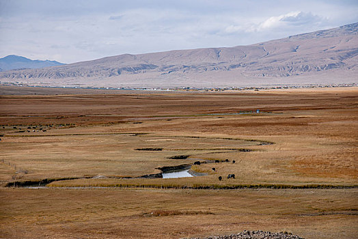 新疆帕米尔高原塔合曼湿地