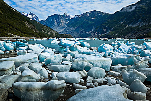景色,冰山,冰河,小湾,冰河湾国家公园,保存,东南阿拉斯加,夏天