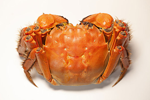 桌面上美味的大闸蟹