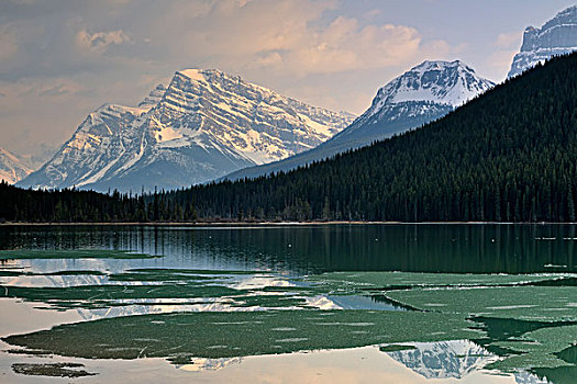 融化,冰,山,反射,艾伯塔省,加拿大