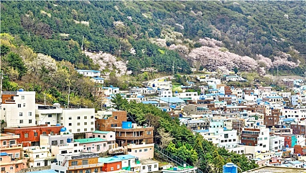 文化,乡村,釜山