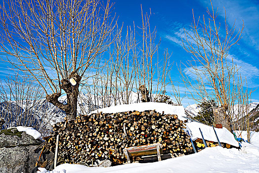 木柴,一堆,雪,比利牛斯山脉,韦斯卡,西班牙