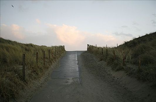 堤岸,北海,靠近,荷兰南部,荷兰