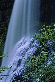 北方,中间,瀑布,银色瀑布州立公园,俄勒冈,美国