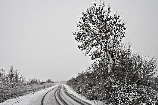 弯路,积雪