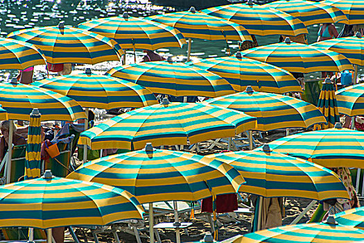 排,伞,海滩,利古里亚,意大利,欧洲