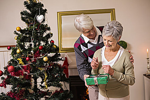 老年,夫妻,礼物,圣诞树