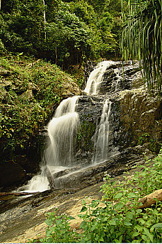 榴莲,瀑布,兰卡威,马来西亚