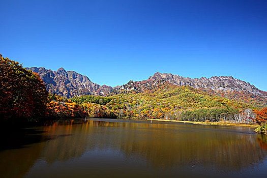 山,水塘,秋天