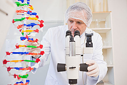 科学家,检查,基因,螺旋,张望,显微镜