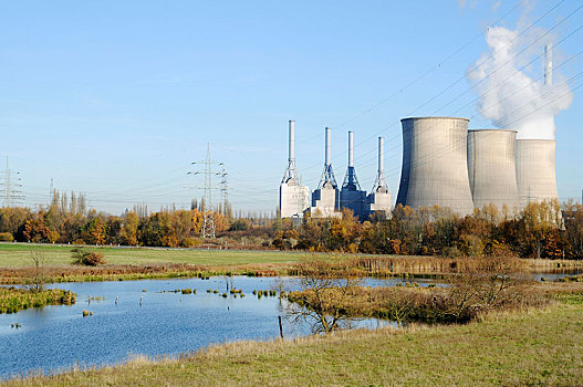 煤,电厂,天然气,能源,自然保护区,河,北莱茵威斯特伐利亚,德国,欧洲