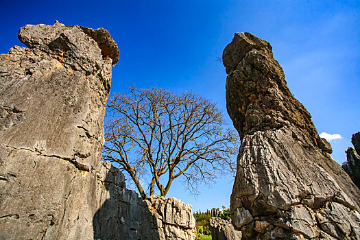 云南,石林,云南石林,石頭,山洞,地質公園,藍天,天空,陽光,怪石,地質地貌