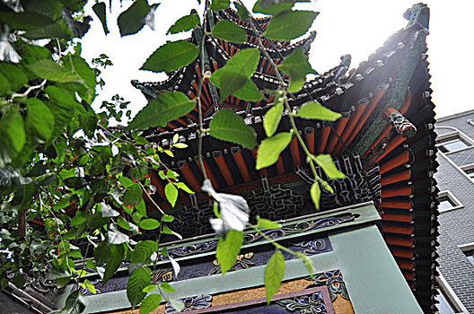 西宁寺庙塔