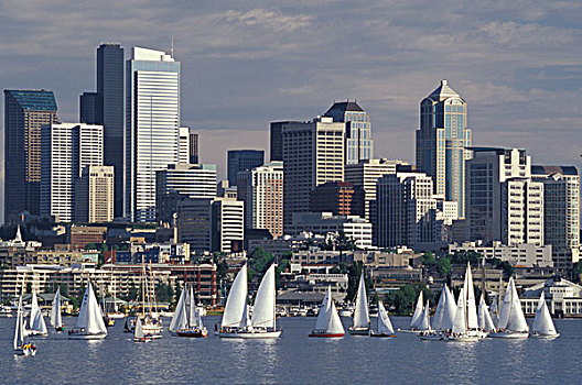 美国,西雅图,湖,联合,帆船赛