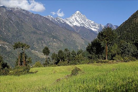 山谷,昆布,珠穆朗玛峰,区域,尼泊尔