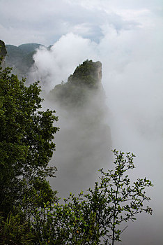 恩施,黄鹤峰,风景,景点,旅游,高山,山区,神秘,树木,植被,石头,鄂西,奇石,峡谷,壮观,云海,仙境