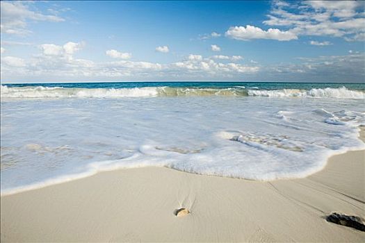 海滩,海洋,尤卡坦半岛