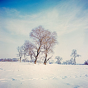 雾凇岛,冰雪,自然风光,吉林,龙潭区