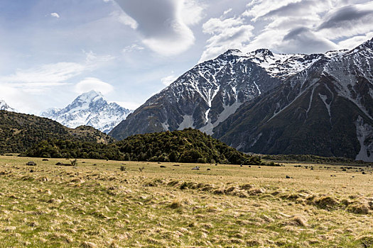 风景,库克山国家公园,新西兰