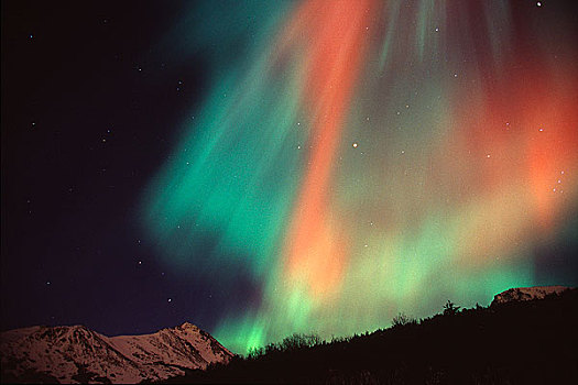多彩,北方,北极光,填加,夜空,彩色,影子,山顶,楚加奇州立公园,阿拉斯加,冬天