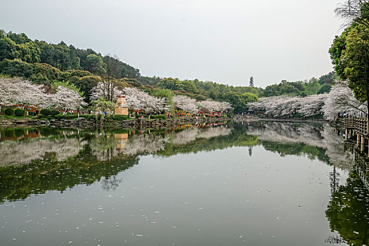 湖南省森林植物园风光美景