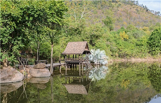 泰国,公园,反射