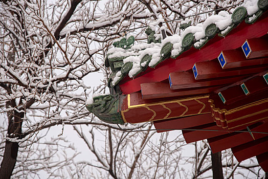 城市雪景