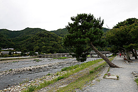 日本,京都,岚山