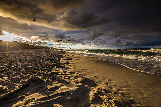 海景,暗色,生动,风暴,积雨云,云体,波罗的海,波兰