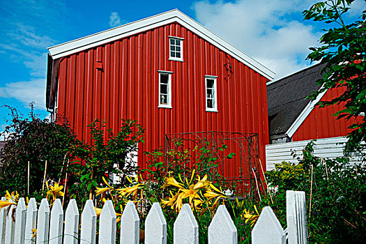 挪威,红房,白色,栅栏
