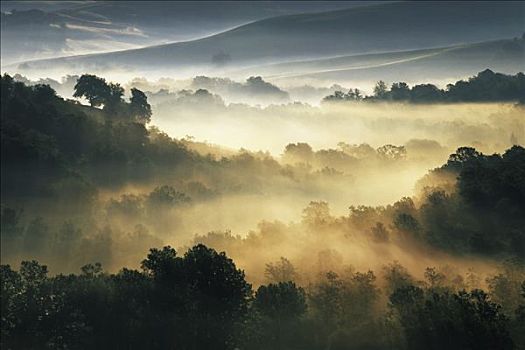 早晨,薄雾,靠近,托斯卡纳,意大利,欧洲
