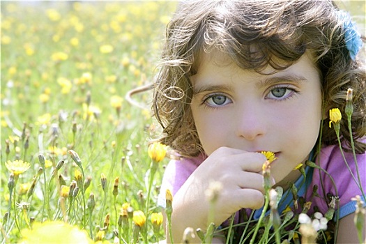 可爱,小女孩,气味,花,草地